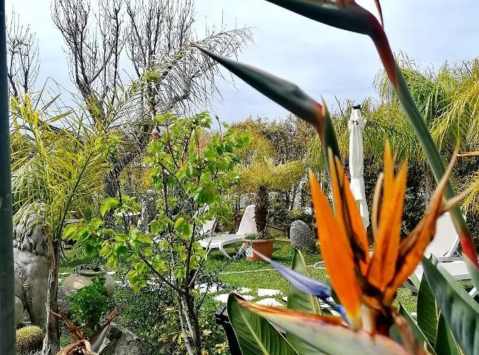 Bed & Breakfast Afrodite 4*