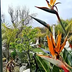 B&B Afrodite 4*