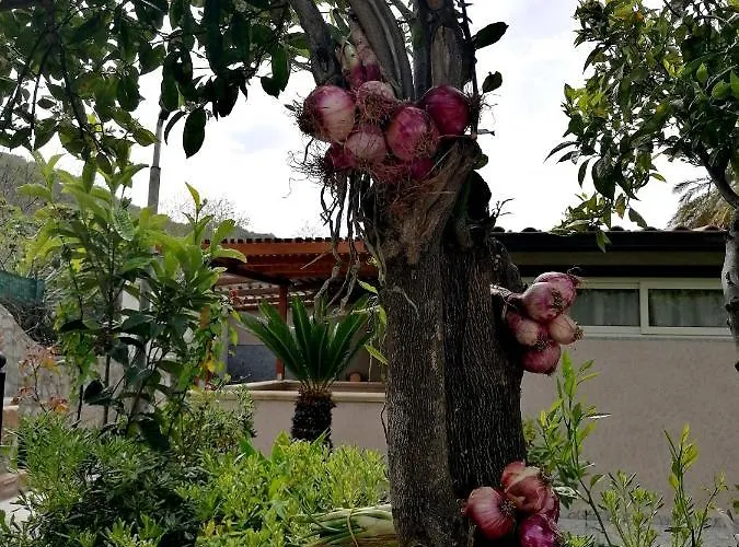 לינה וארוחת בוקר Afrodite טרופאה